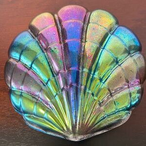 Shell Jewelry / Storage Box